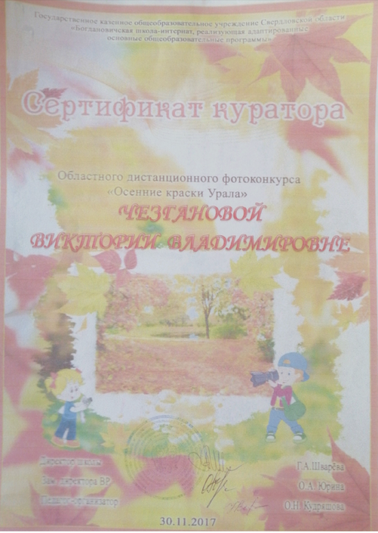 сертификат куратора.png
